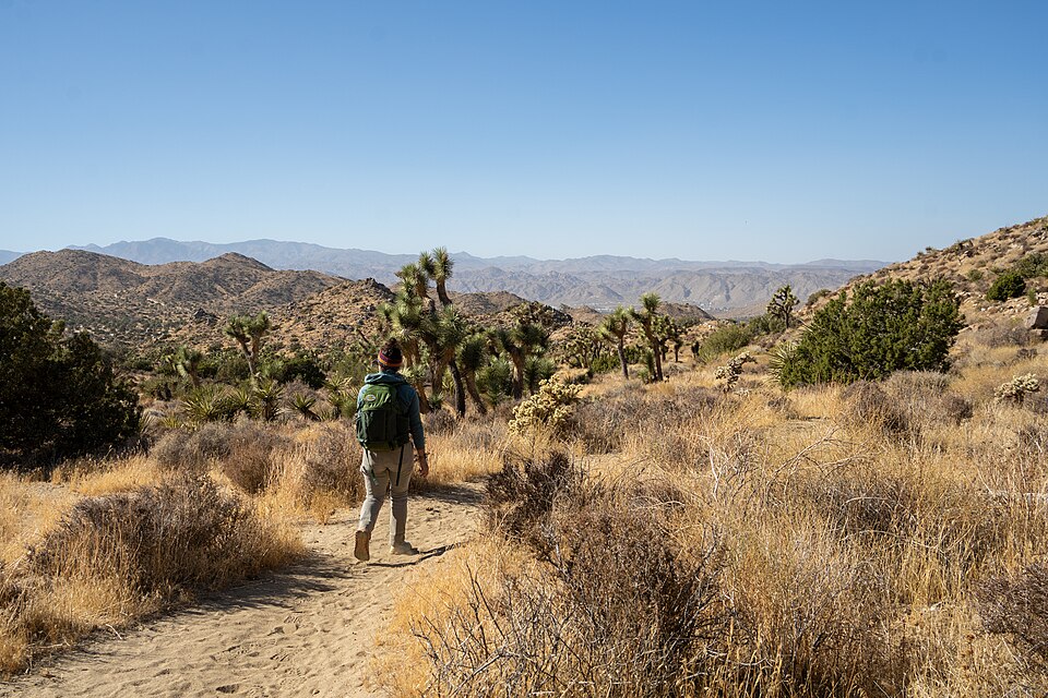 A visitor hikes the California Riding and Hiking Trail near the Black Rock Canyon Trailhead.
NPS / S