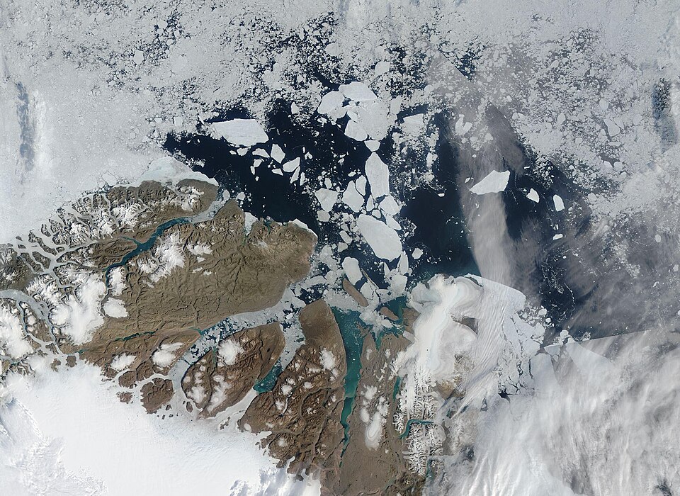 The Wandel Sea, which stretches from northeast Greenland to Svalbard, has been called the “Last Ice 