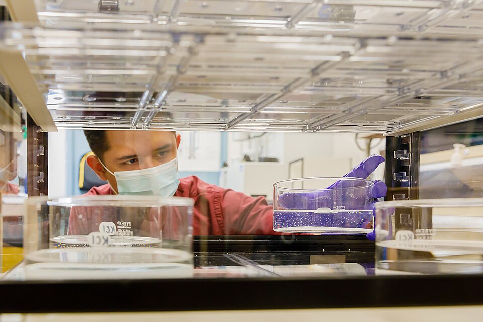 A team of Sandia researchers tested materials for Albuquerque companies looking to manufacture N95-l