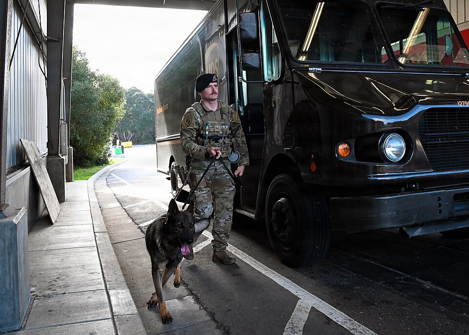 U.S. Air Force Staff Sgt. Tyler Jenkins, 30th Security Forces military working dog handler, conducts