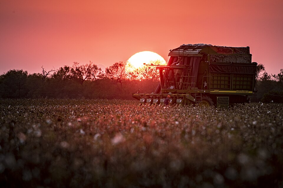 The sunset does not mark the end of a day, the cotton harvesters will work for many more hours into 